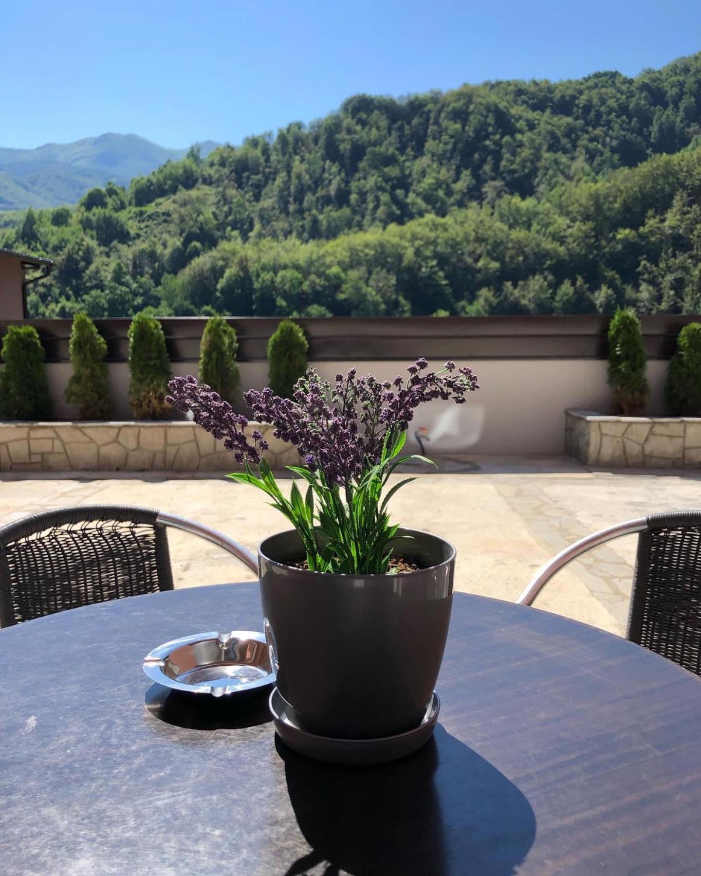 Aphrodite Hills Apartments-Stara Planina Crni Vrh Exteriér fotografie