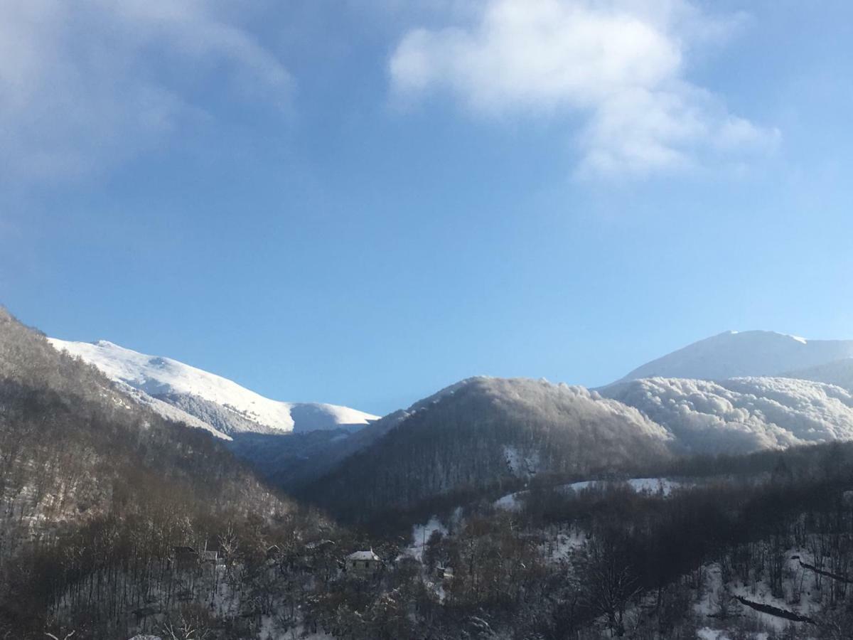 Aphrodite Hills Apartments-Stara Planina Crni Vrh Exteriér fotografie